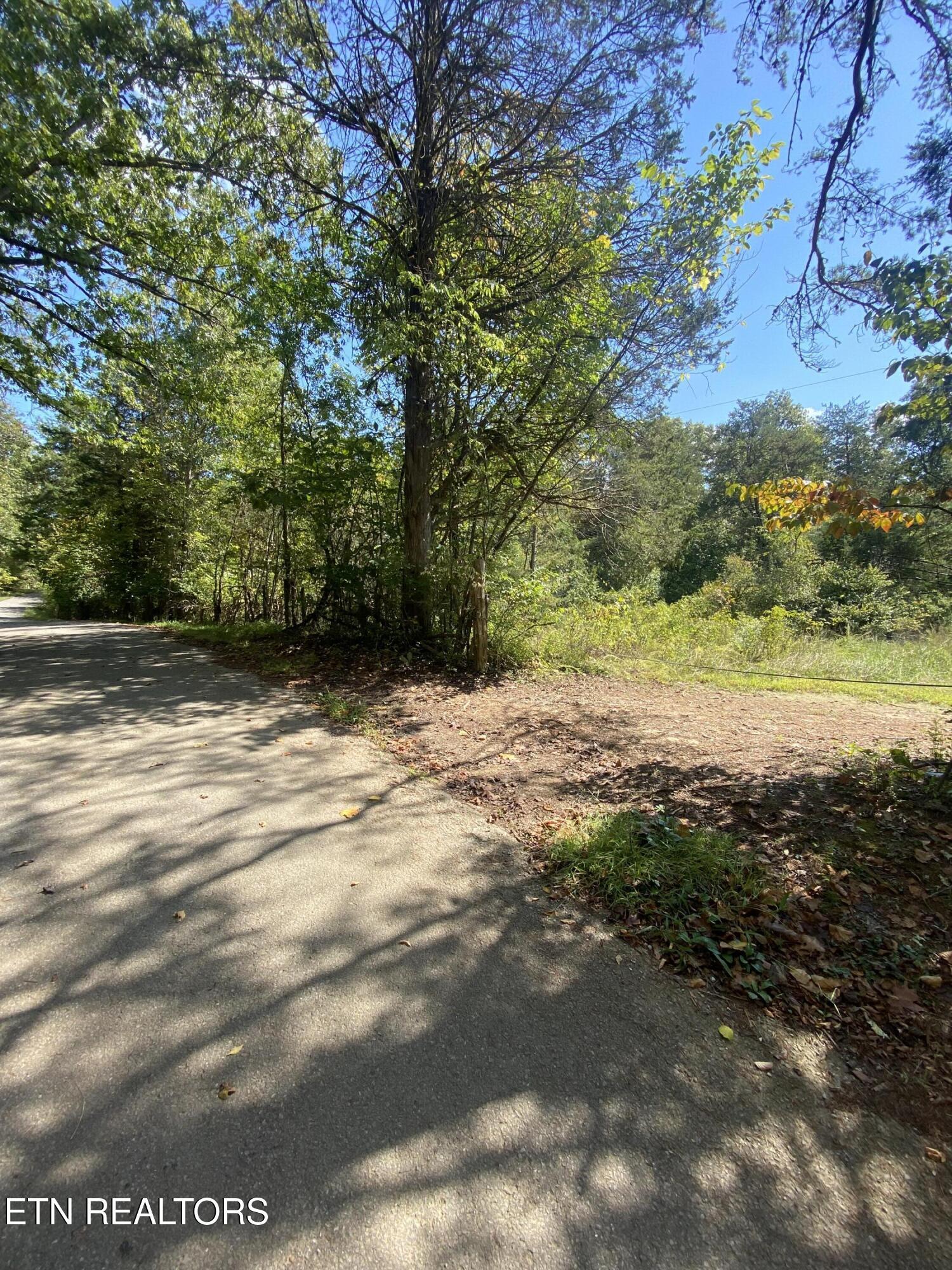 Image 4: 4