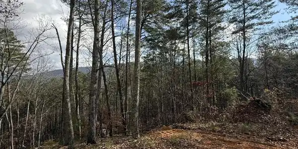 Lot 1 Parksville Road