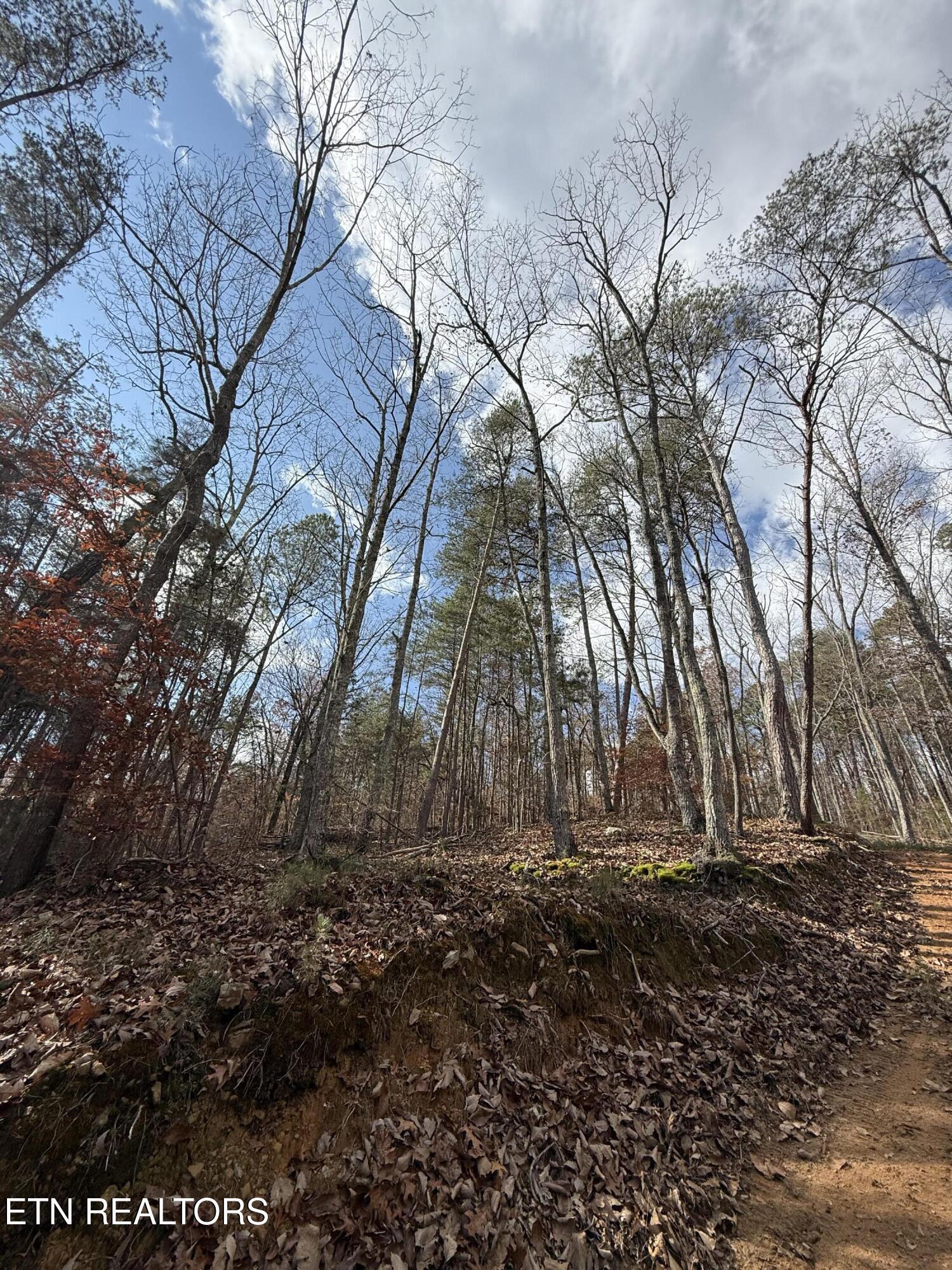 Image 3: IMG_0324
