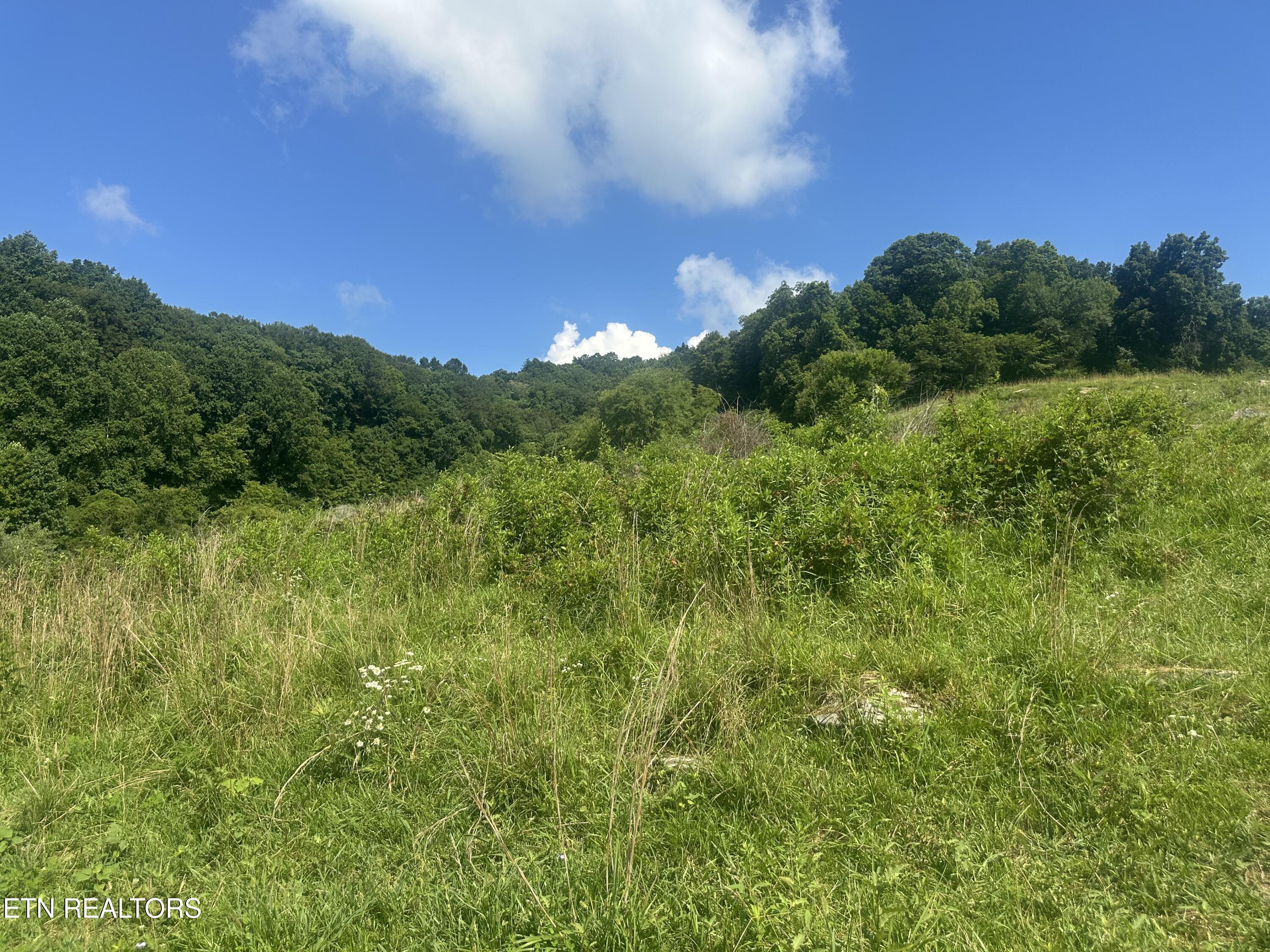 Image 2: IMG_0653