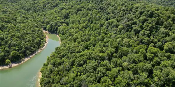 Image 2: 2-DJI_0055