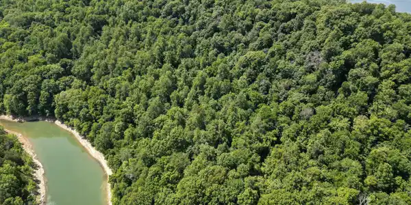 Image 3: 3-DJI_0056