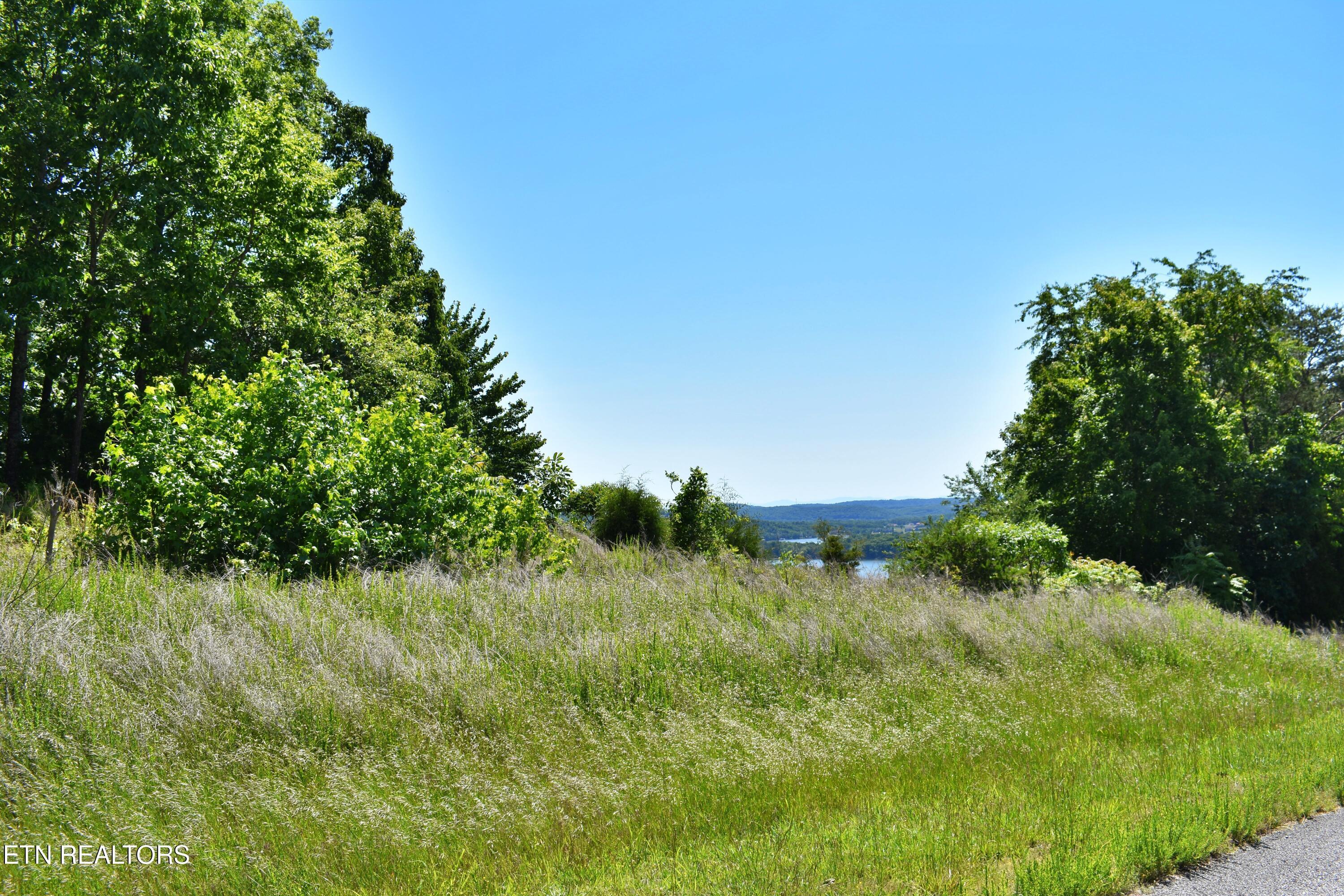 Image 2: DSC_0651