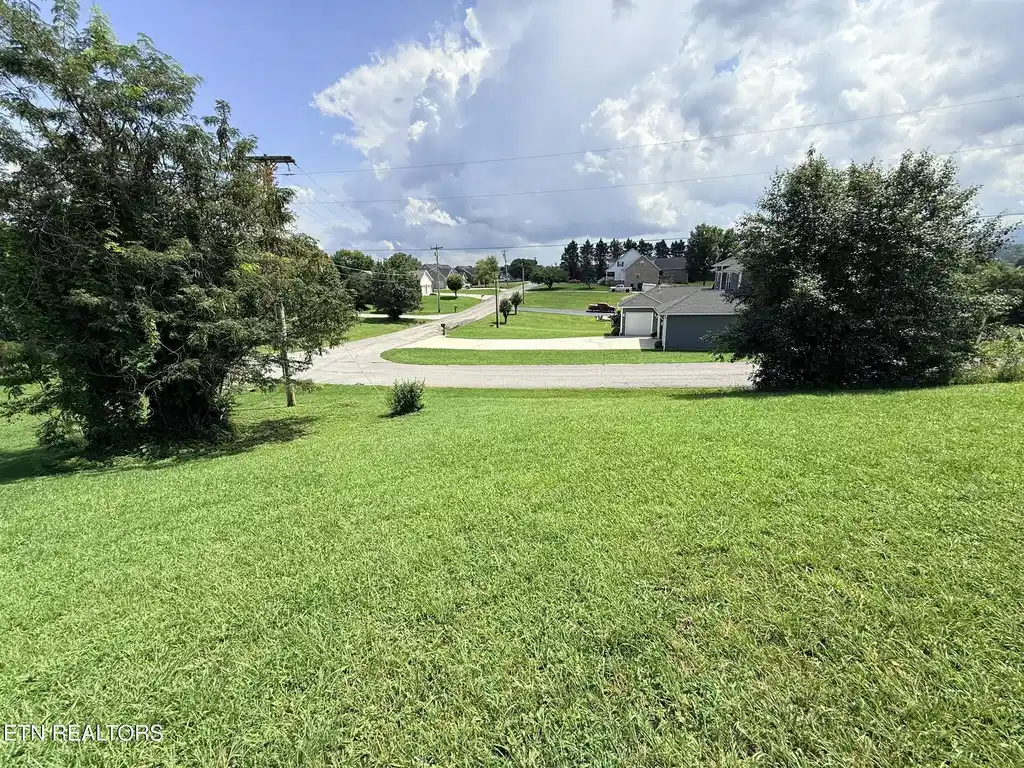 Image 1: Lot 48