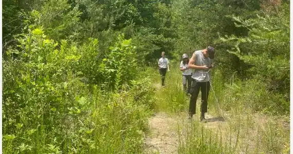 Image 4: Capture 3