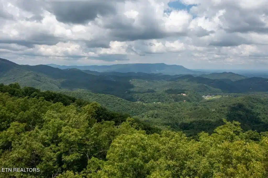 Image 1: Lot 19 Laurel Top Way View