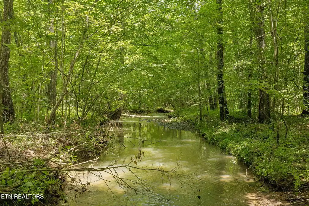 Image 1: 8-1859 Nydeck Trail lot 4 - 008