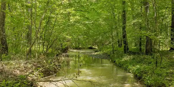 Nydeck Tract 4 Rd