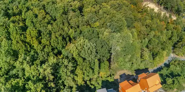 Image 2: dji_20251010150523_0947_d
