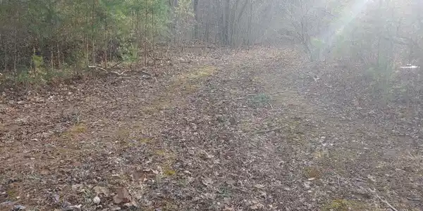 Mill Creek Rd