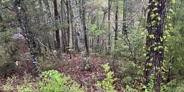 Lot 1 Mountain View Drive