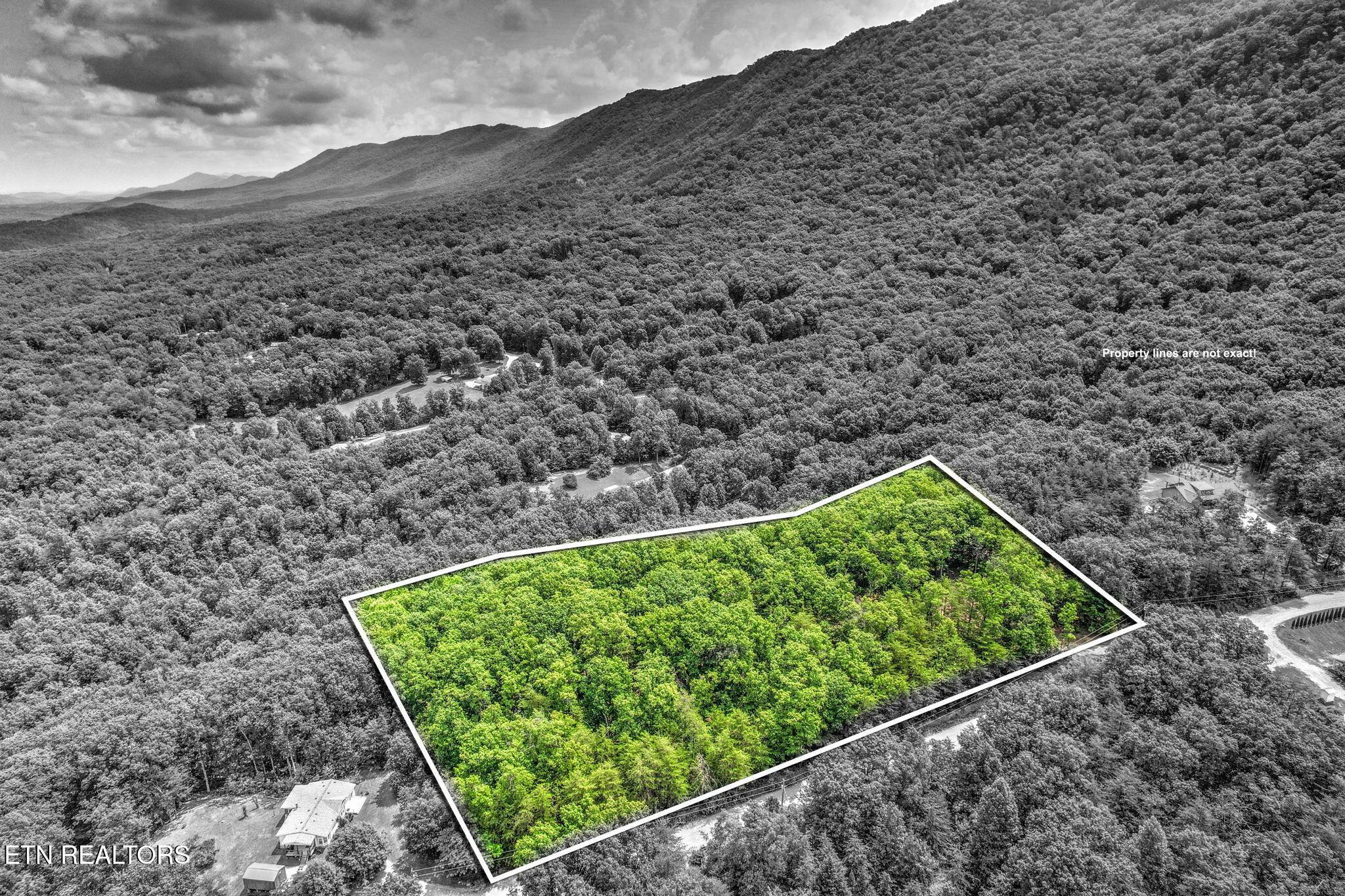 Image 2: 6-web-or-mls-DJI_0622_3_4
