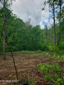 397 Moore Hollow Rd