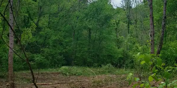 397 Moore Hollow Rd