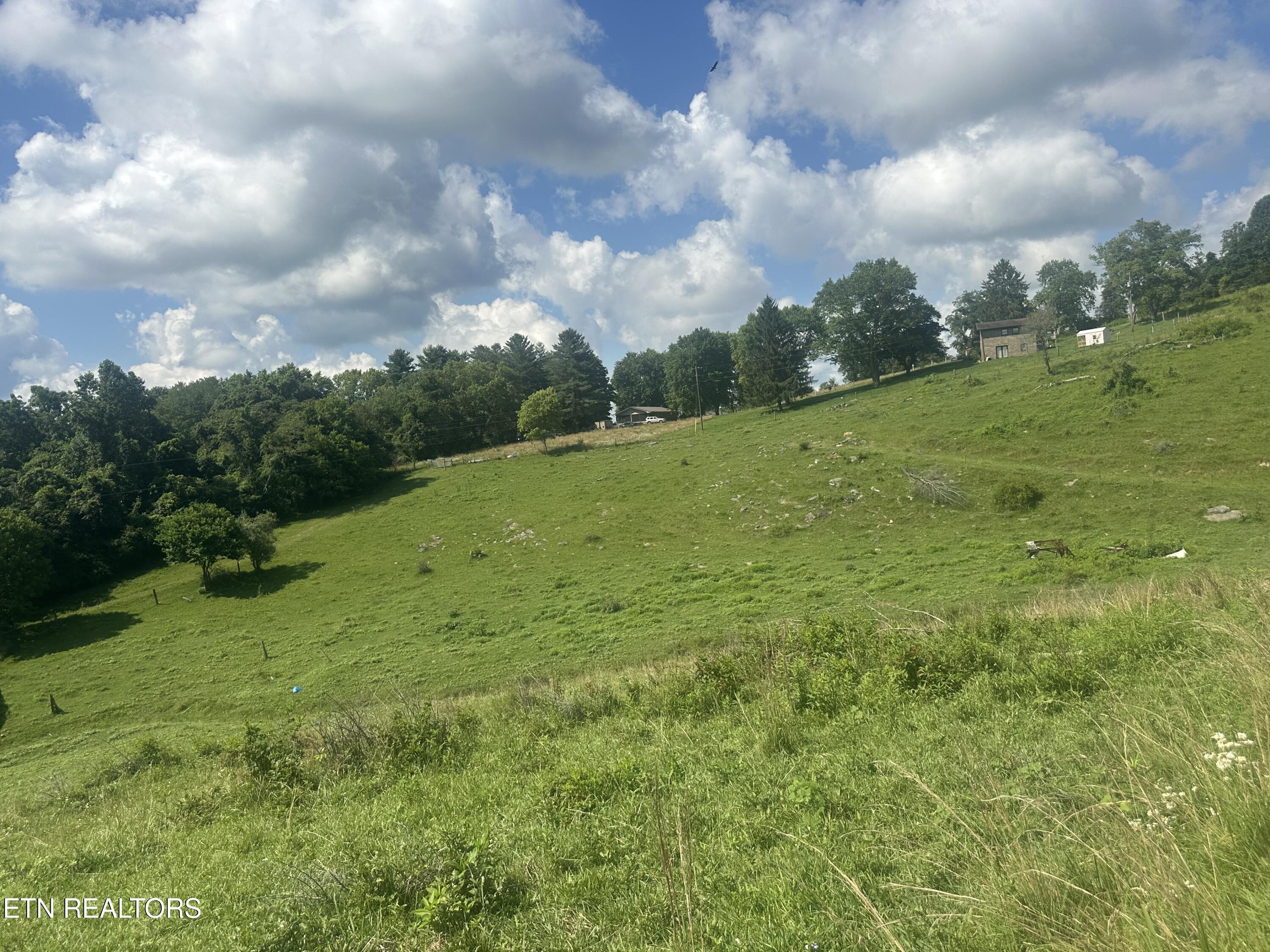 Image 3: IMG_0648
