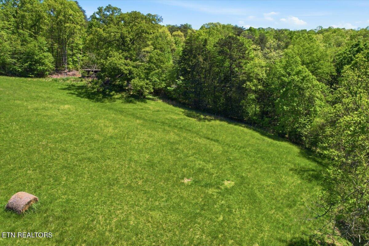 Image 4: 12-April_drone_photos_008