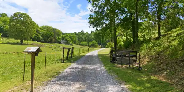 Image 2: Come Up the Gated Driveway
