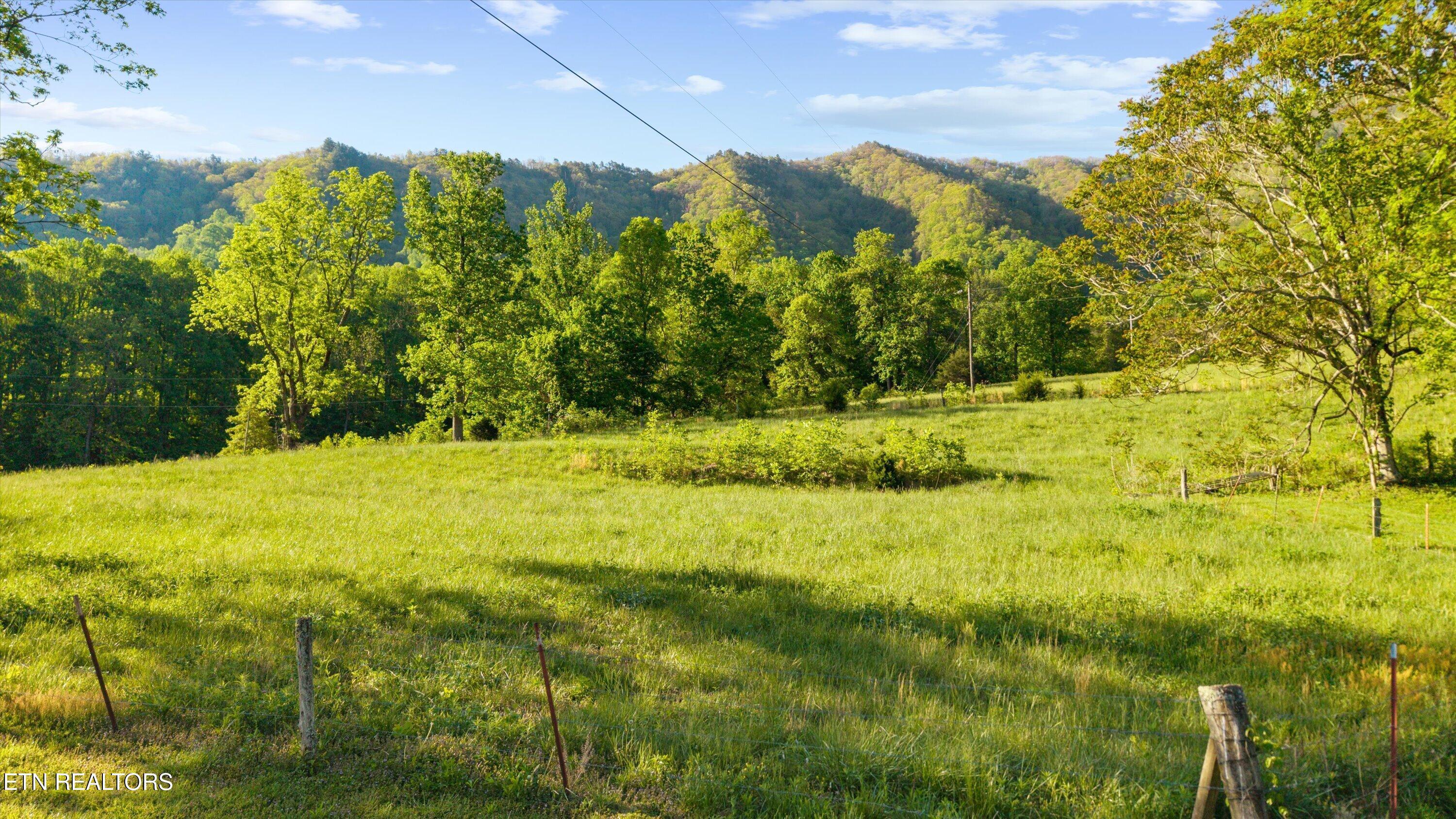 Image 3: 01-172 Pam Ln 01