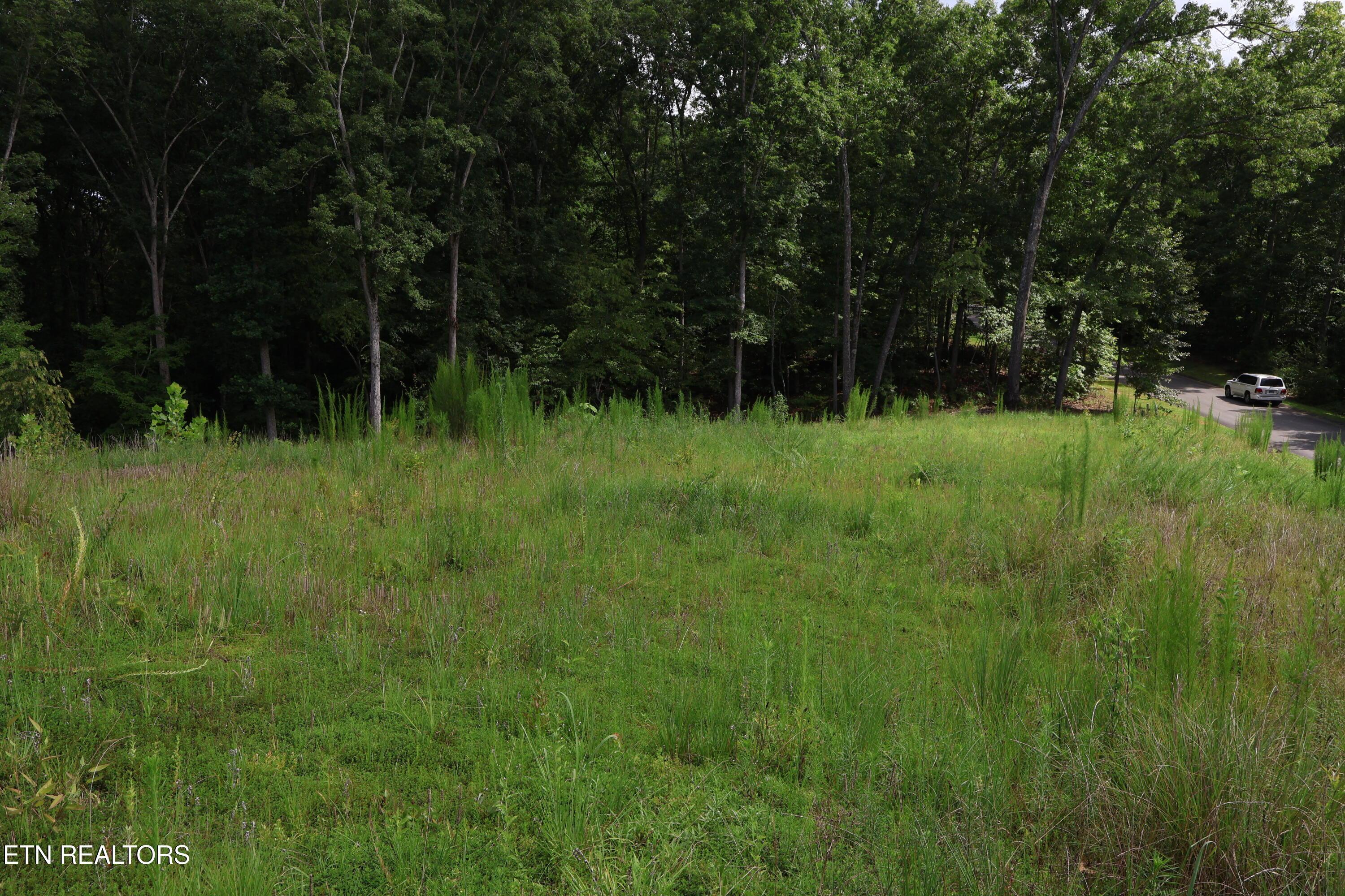 Image 3: IMG_0293