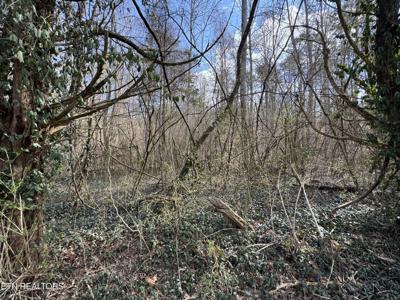 918 McCubbins Rd