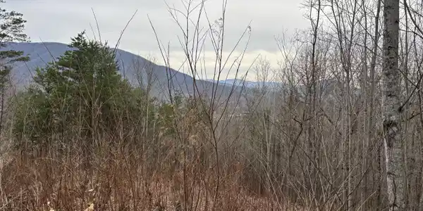 Lot 19 Dogwood Ridge Way