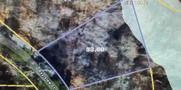 Image 4: image