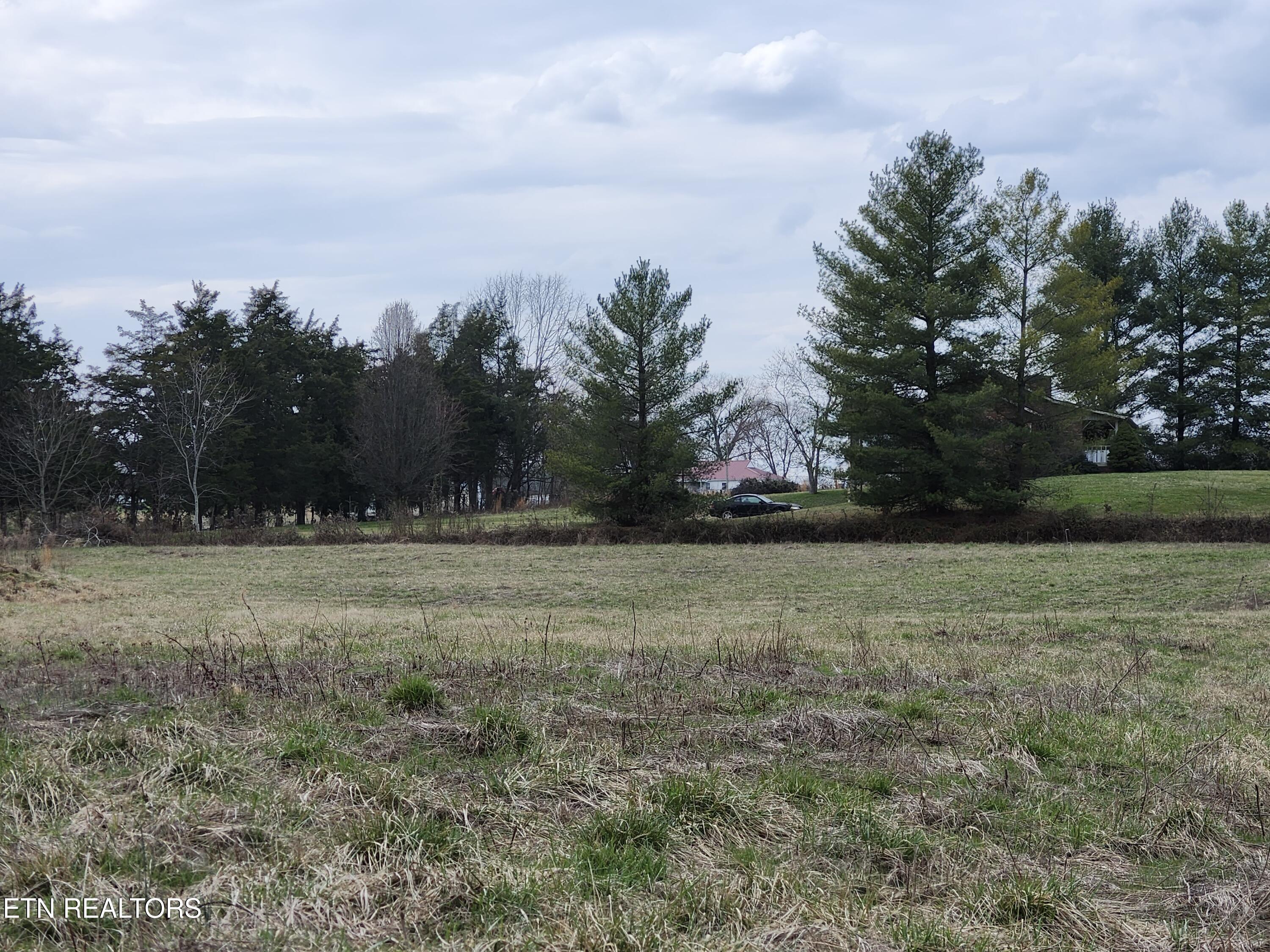 Image 3: 20260305_140825 (1)