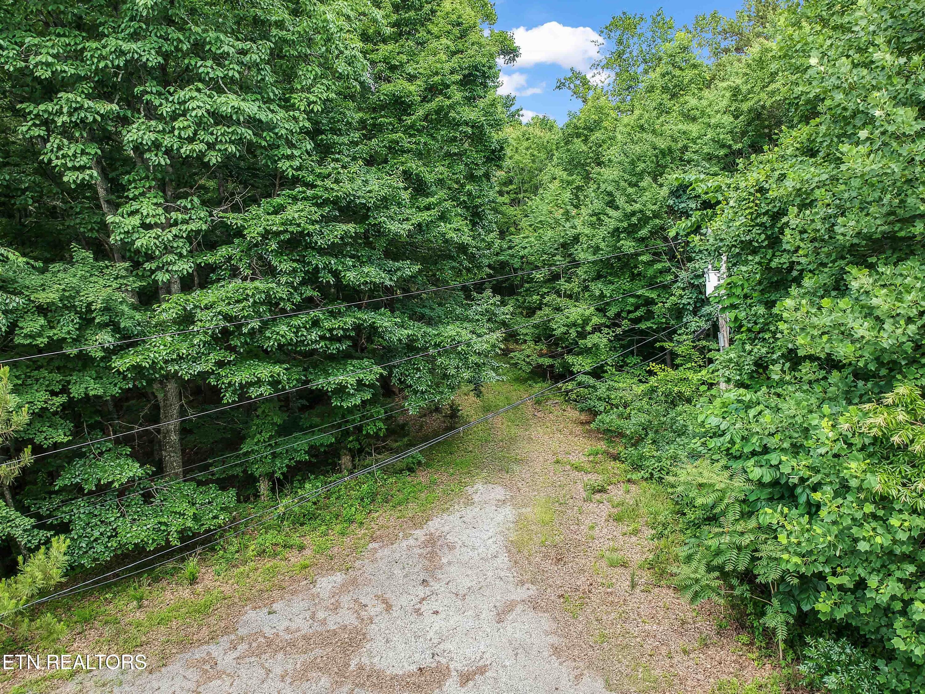 Image 2: DJI_0427