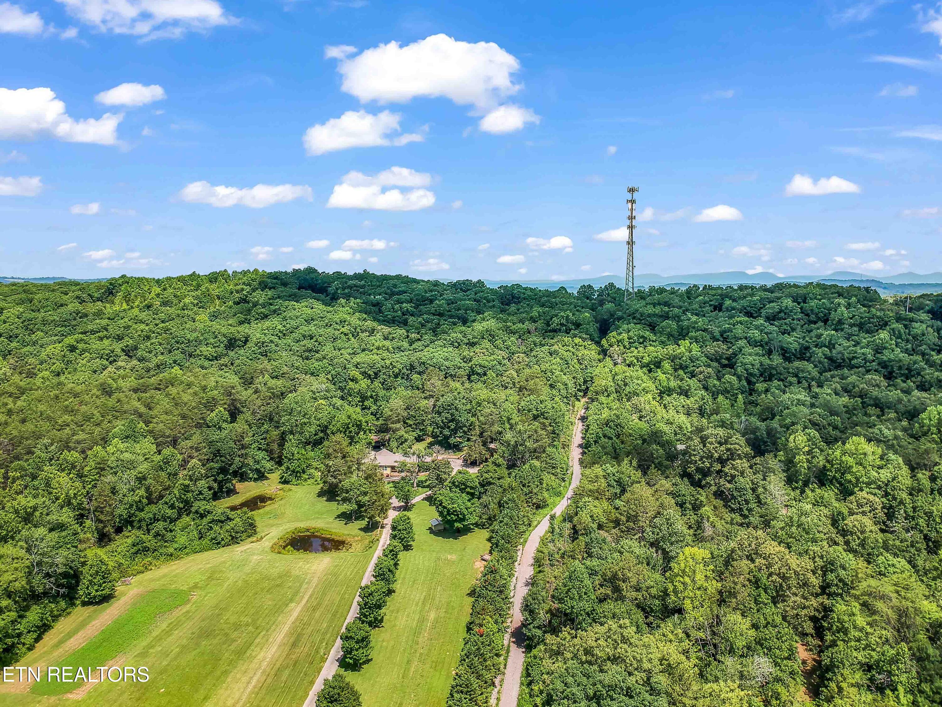 Image 4: DJI_0433