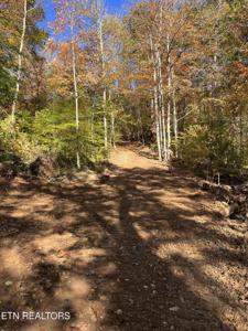 Skaggs Hollow Rd