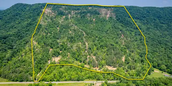 Beech Creek Rd