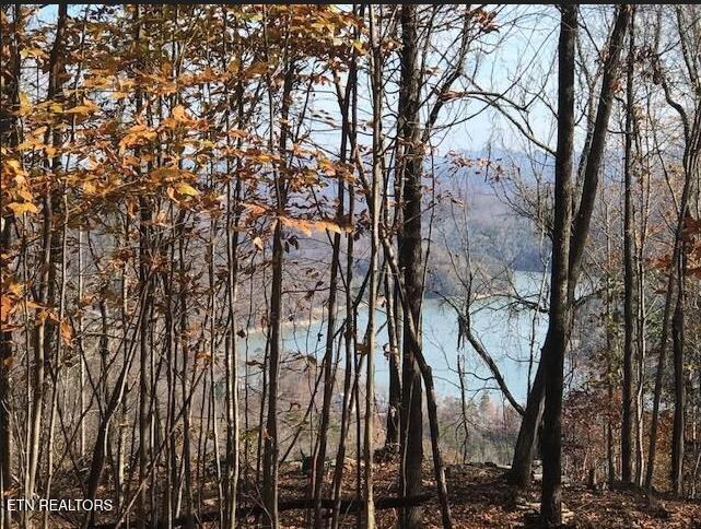 Image 2: L#122 Settlers Pt, Lone Mtn, Norris Lake