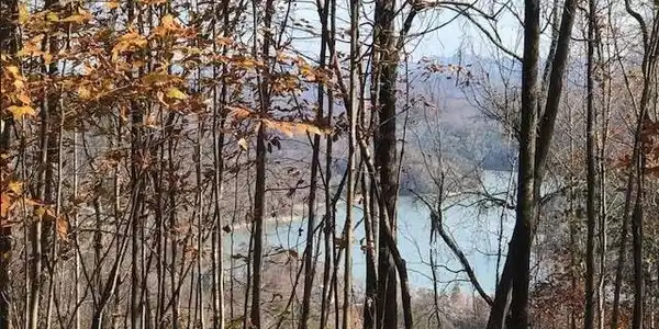 Image 2: L#122 Settlers Pt, Lone Mtn, Norris Lake