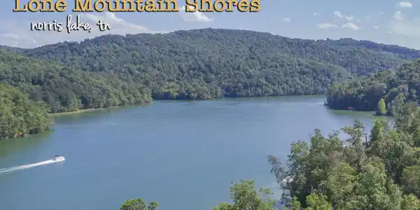 Image 3: Welcome to Lone Mtn Shores, Norris Lake