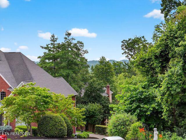 Image 3: 20250615173044059734000000-o