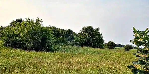 Image 4: 2