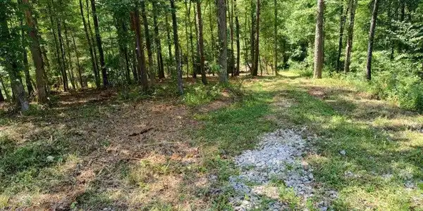 Image 3: 0