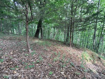 Lot 188 Chimney Rock Rd