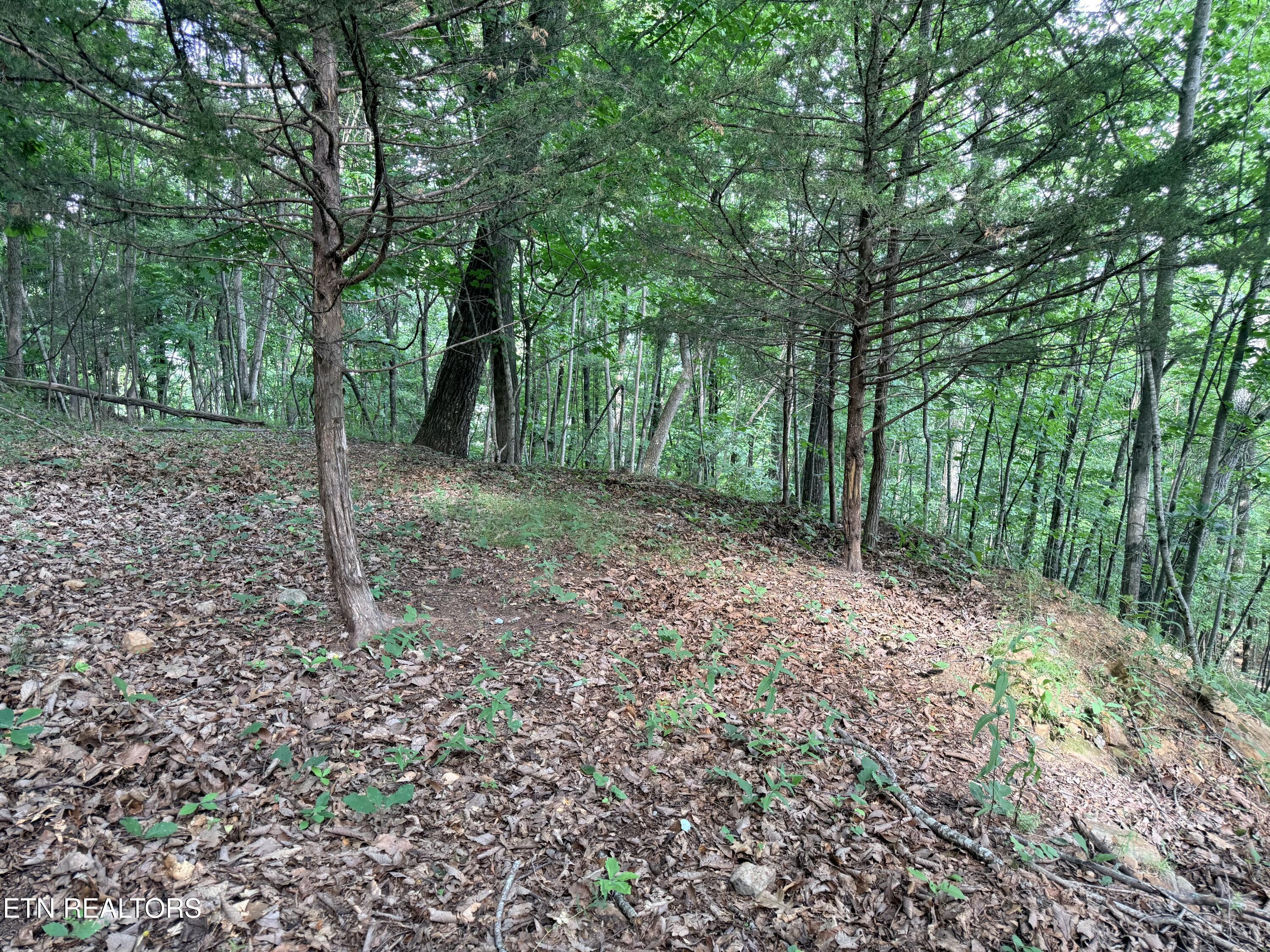 Image 1: Lot 188