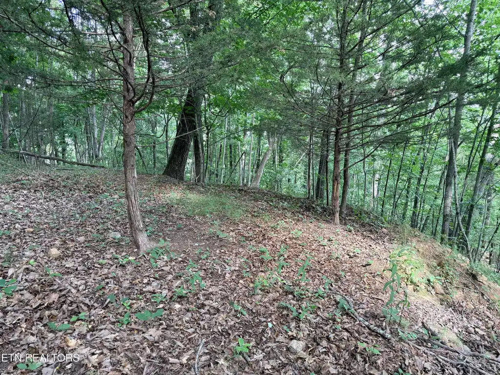 Image 1: Lot 188