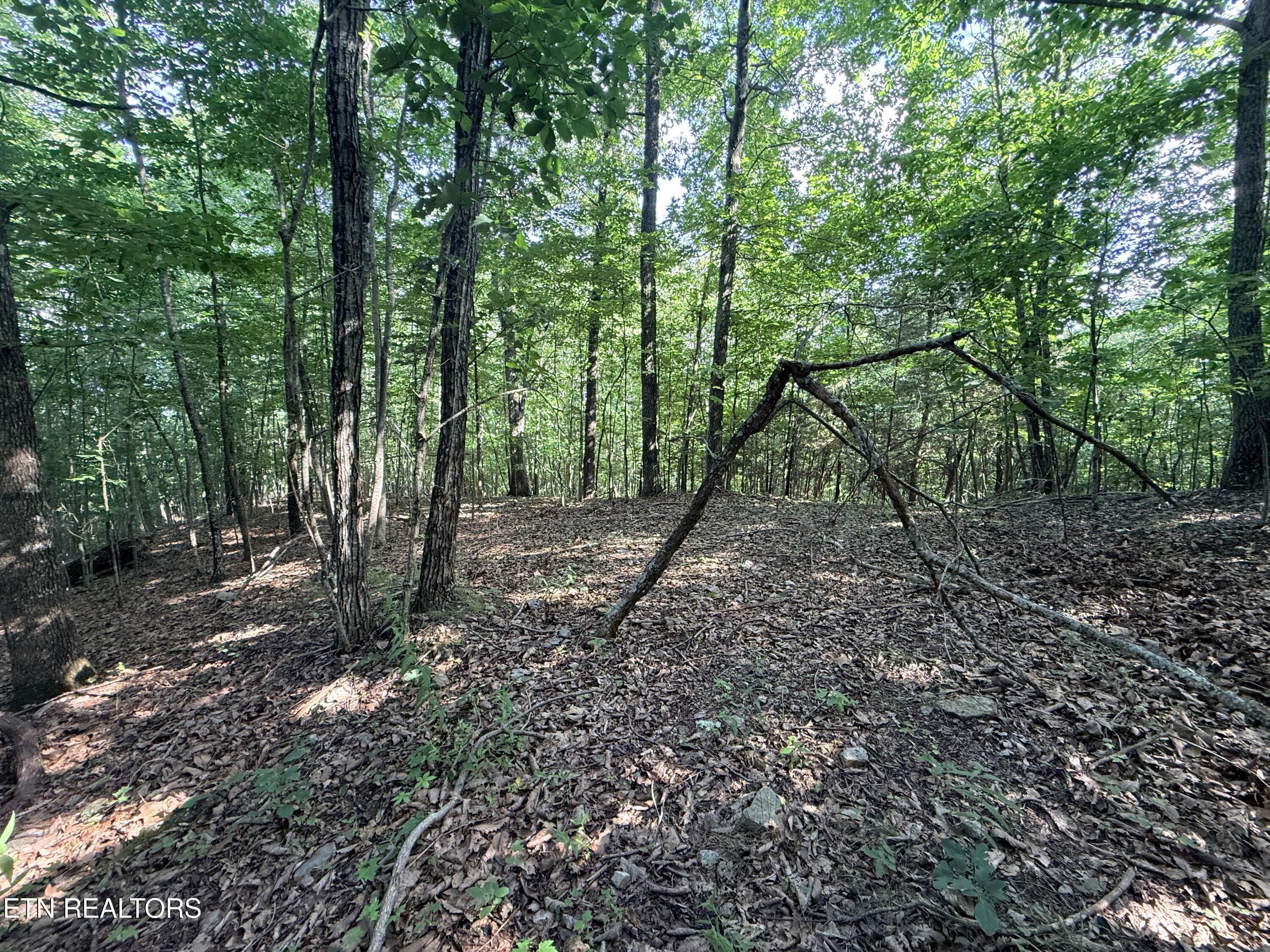 Image 2: Lot 188