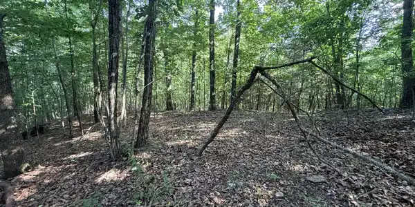 Image 2: Lot 188