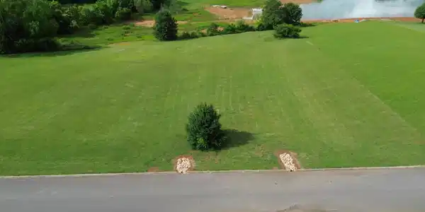Image 3: DJI_0506