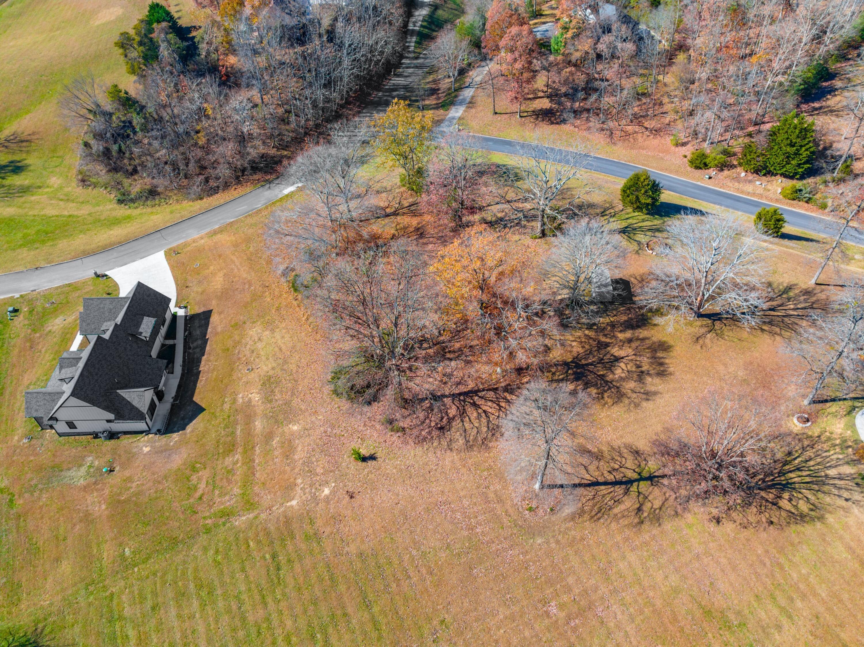 Image 2: 002-9022ParadiseViewDrive-Mooresburg-TN-