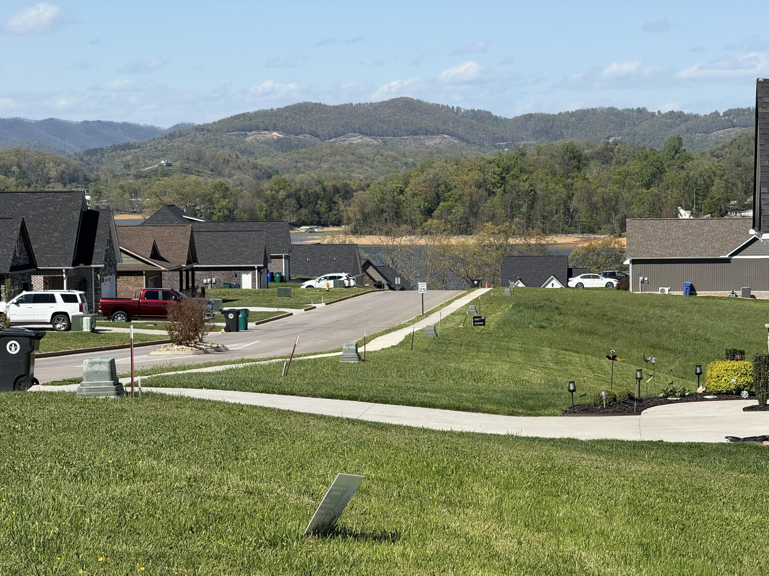 Image 4: IMG_1583