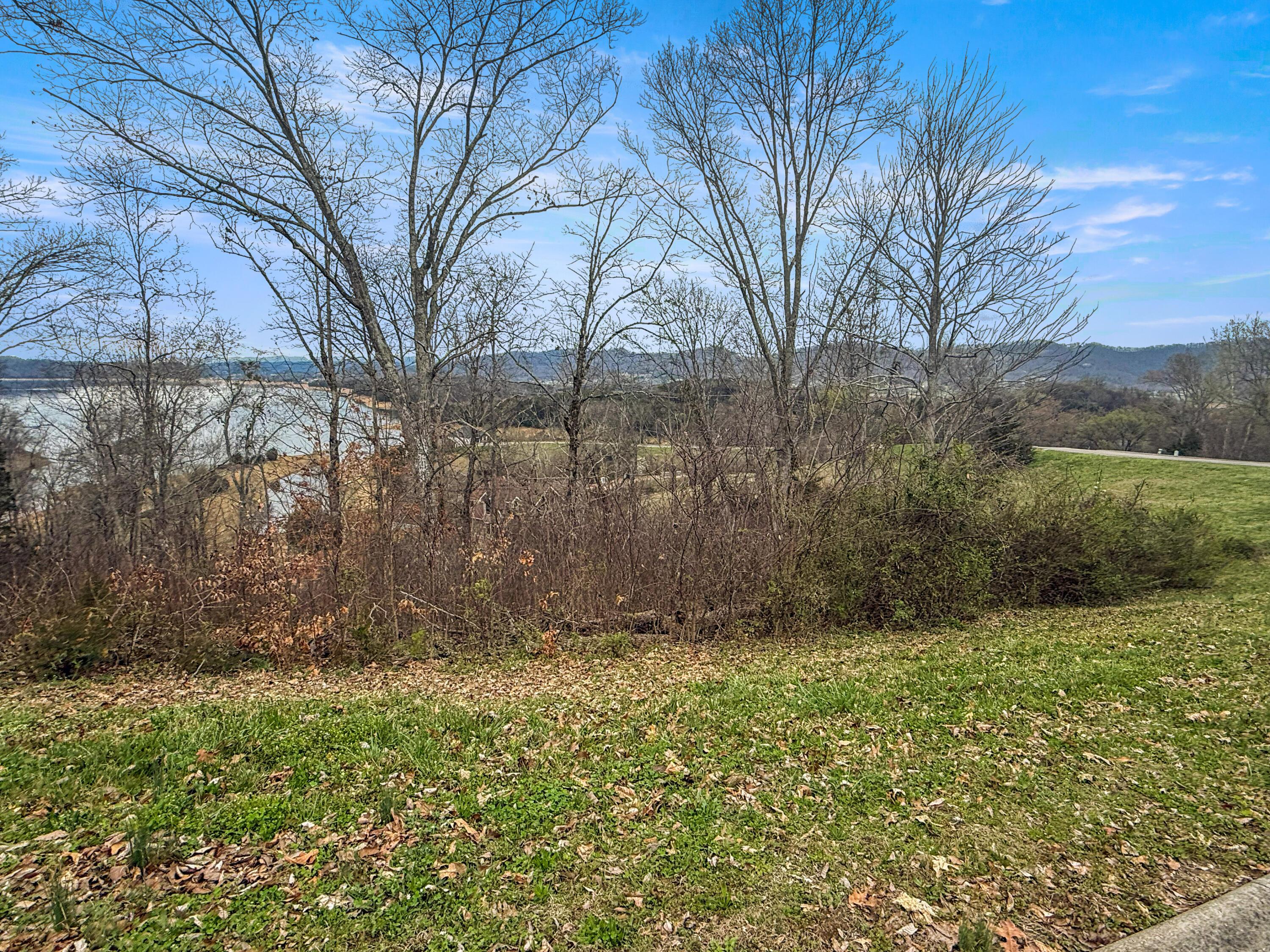 Image 3: IMG_4465
