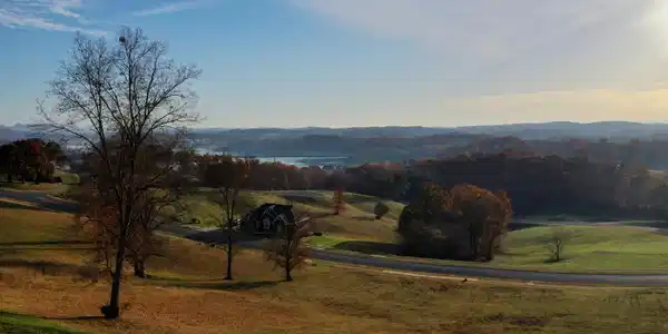 Image 2: DJI_0773