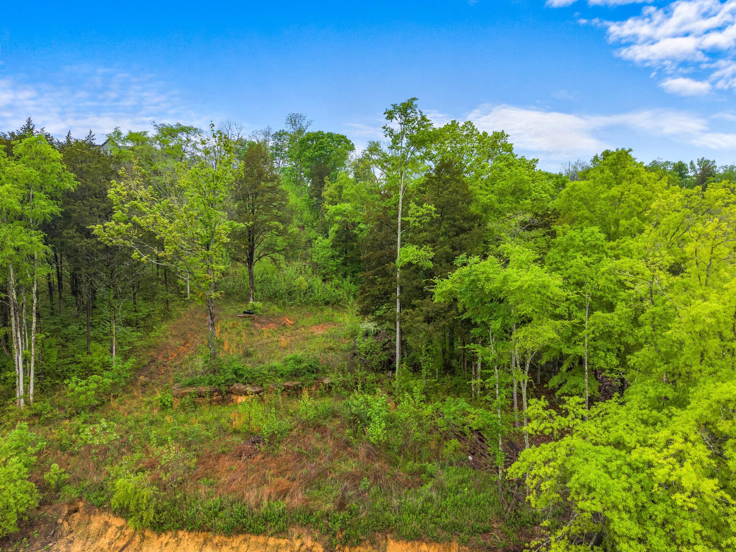 Image 3: 002-843ClearSailWay-Dandridge-TN-37725-S