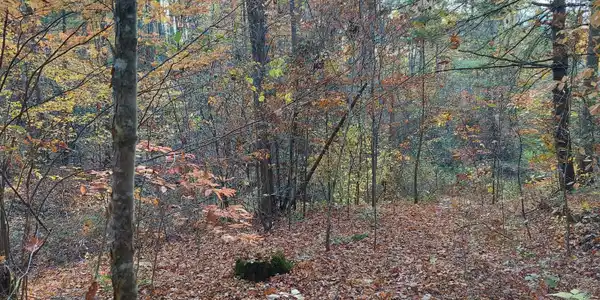 1.76 Acres Sugar Maple Way