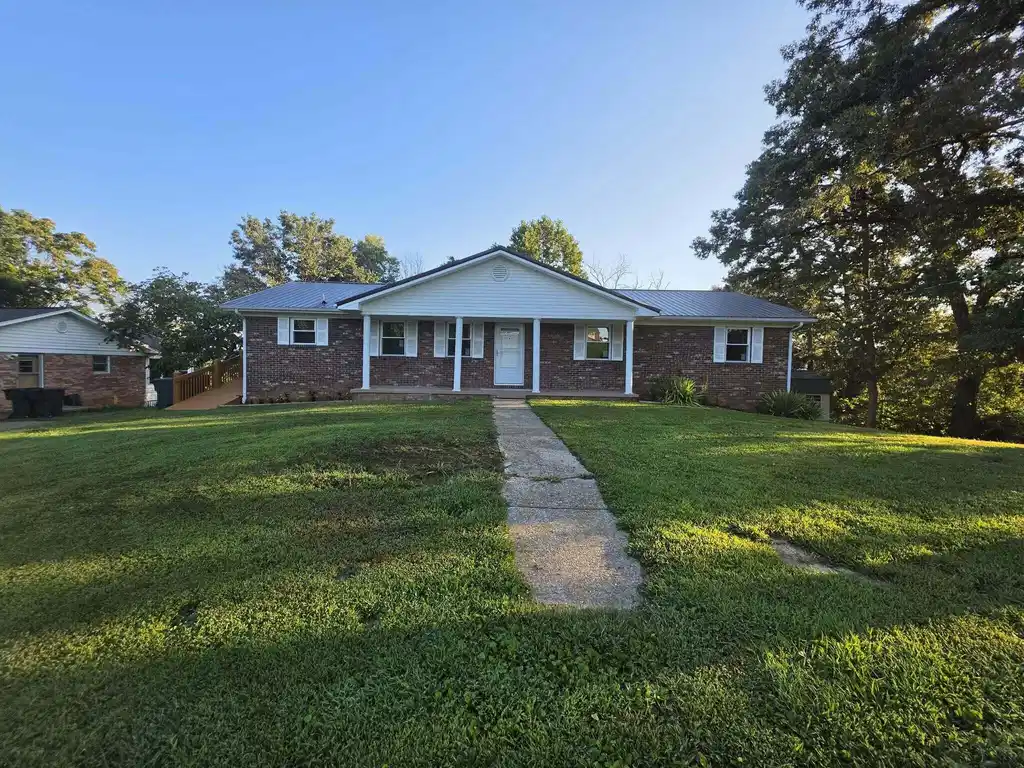 Image 1: 11c5614d-98f9-4cf7-9ecb-a998baae9588